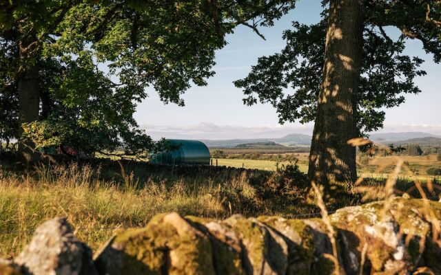 Cardross Estate Glamping