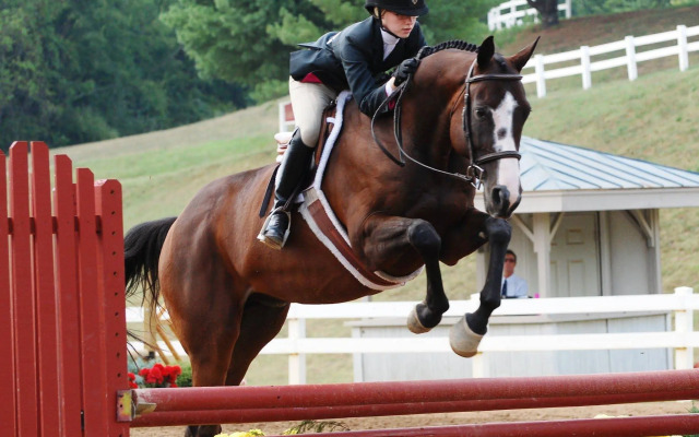 Holiday Inn Express Lexington by IHG