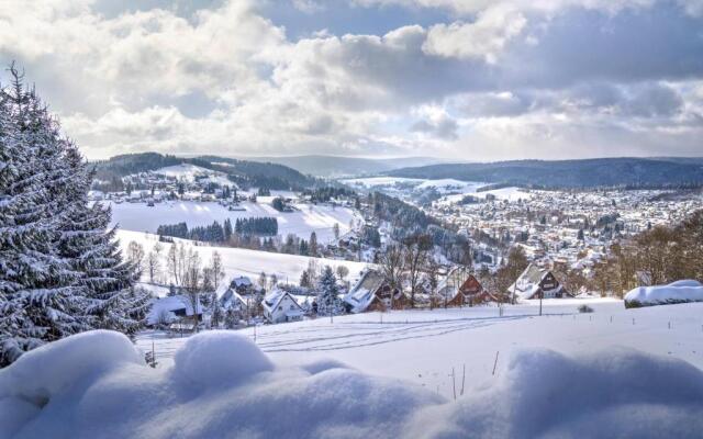 Vila Nejdek - Erzgebirge