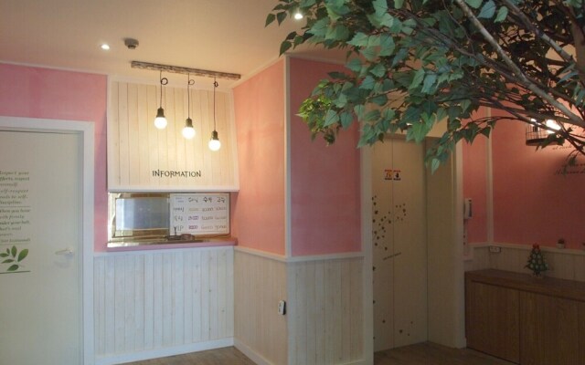 Daejeon Cherry