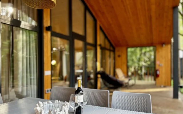 Репинские дачи