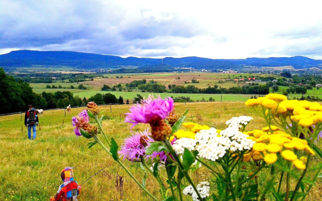 Penzion Bor