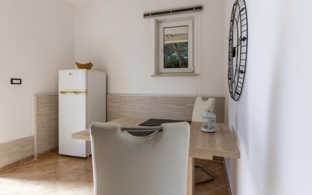 Awesome Home in Novigrad With Wifi and 1 Bedrooms