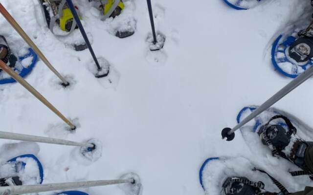 B&B L'Albero Maestro