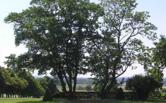 Chambres d'hôtes - Château de la Plante
