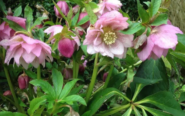 Wohlfühlhotel Sonnengarten