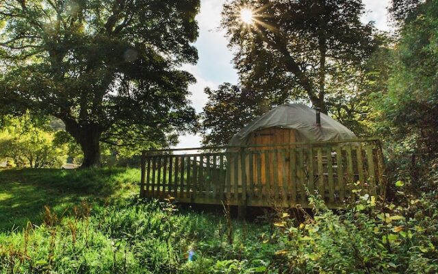 Oak Yurt