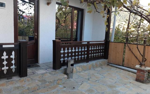 Apartment borjomi, Erekle street, 21A