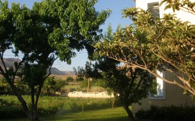 Kourlis