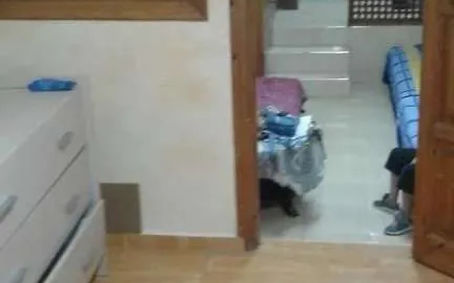 Dalida Apartment