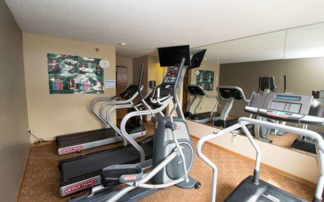 Super 8 Ohare Chicago Elk Grove Village