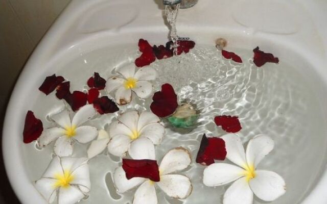 Jasmine Garden Villa