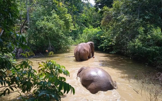Koh Lanta Amantra Lake View Resort