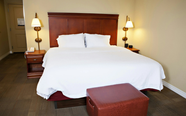 Hampton Inn Martin