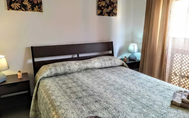 B&B Libellula
