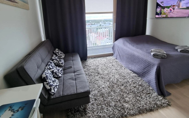 Penthouse in the Oulu center