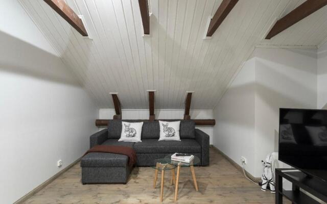 Unique open space loft studio in the attic