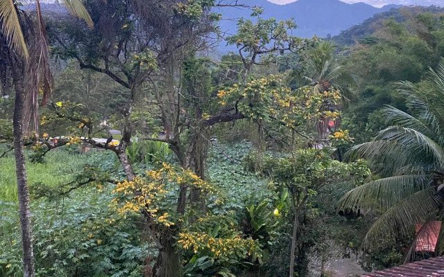 Rio Natureza apart 105