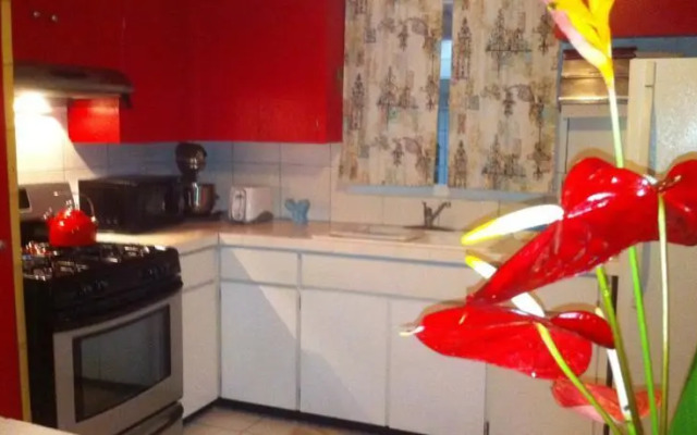 The Jungle Farmhouse