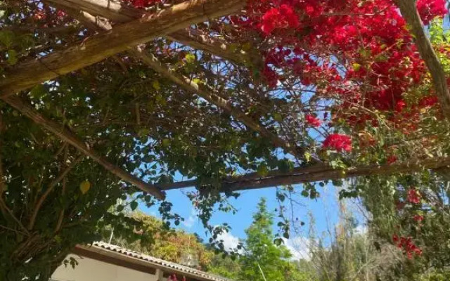 Pousada Acalanto Inn
