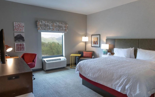Hampton Inn Black Mountain
