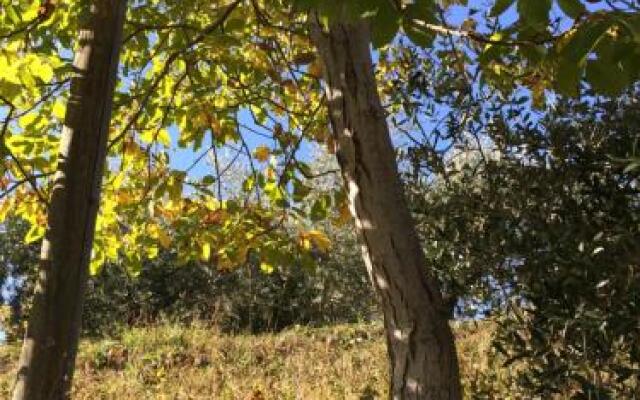 Agriturismo 7 Colonne