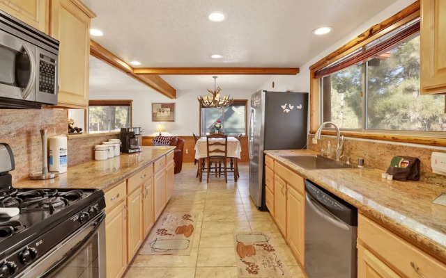 Mockingbird in Moonlight #2527