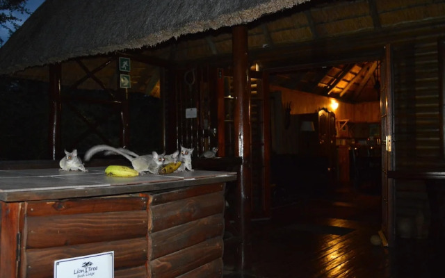 Lion Tree Bush Lodge