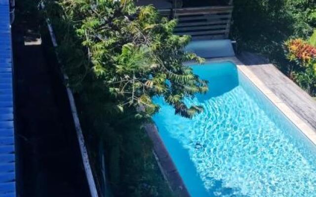 Villa de 2 chambres avec piscine privee jardin clos et wifi a Le Carbet a 5 km de la plage