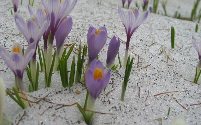 Ferienwohnungen-Schett