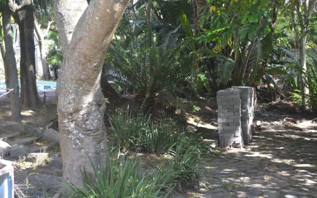 Cycad Lodge