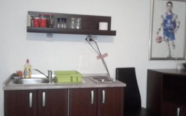 Apartment Viktor stan na dan