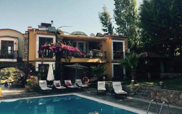 Olive Tree Studio