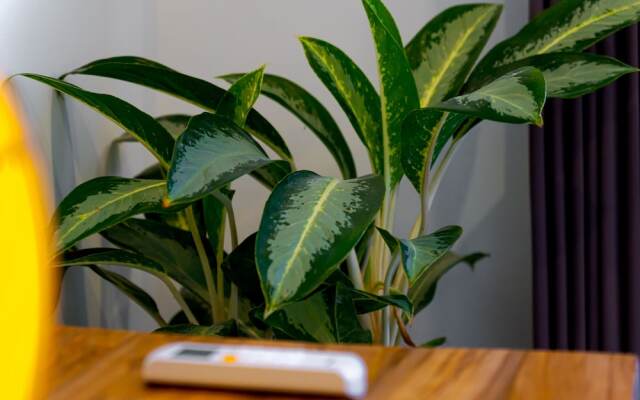 Sunny Village Batu Bolong