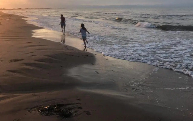 Apartamentos En Deltebre