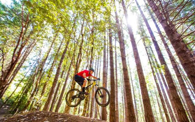 The Cabin at Moon Dance