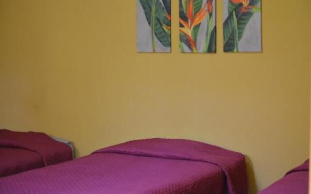 Hostal Los Volcanes - Hostel