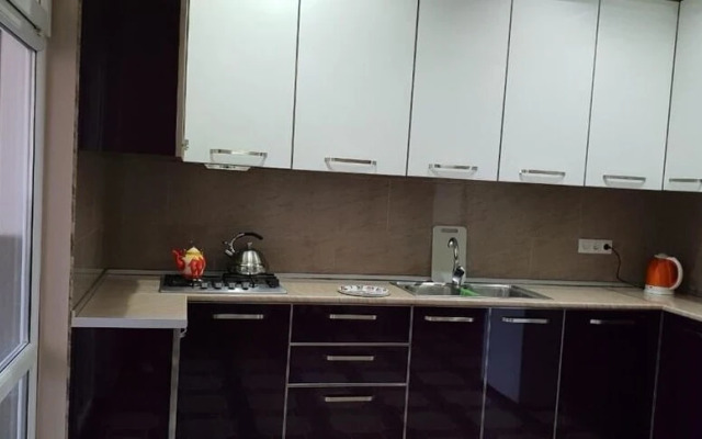 Apartment on Kandelaki Str.
