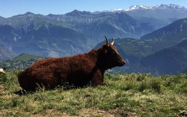 Résidence Les Pistes
