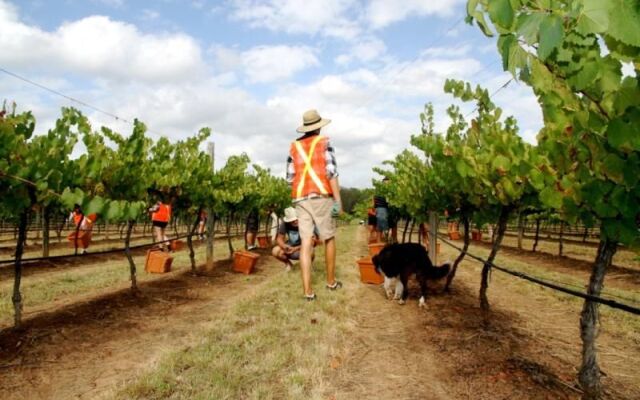 The Carriages Country House