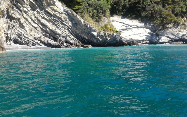 Beautiful View 56