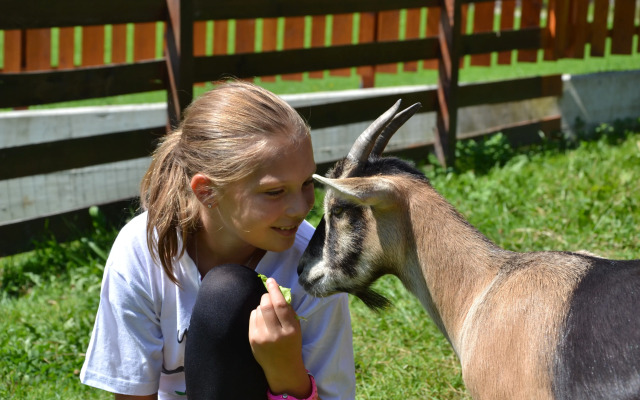 Feriendorf Ponyhof