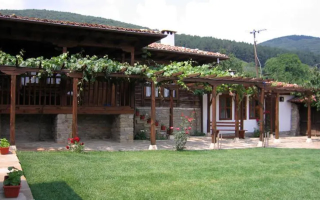 The House With The Vine Guest House