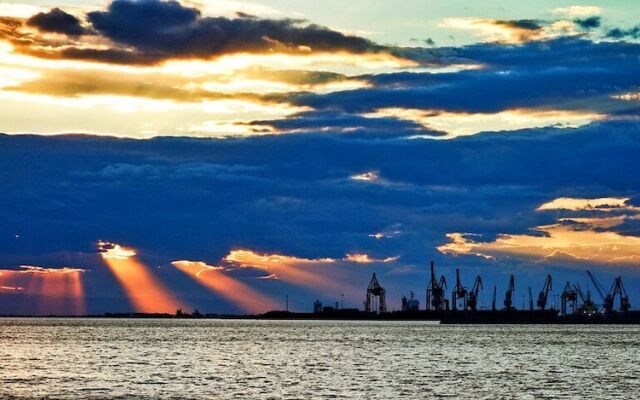 Alterra Vita City Apartment