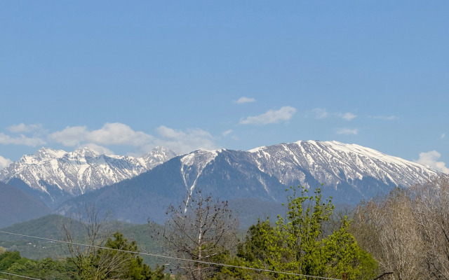 VILLA Астория (Цандрипш)