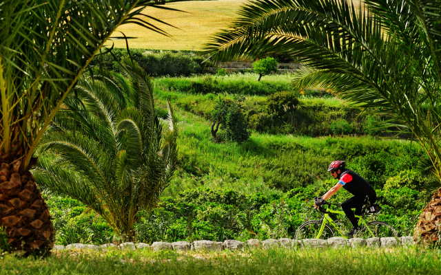 Kallikoros Country Resort & Spa