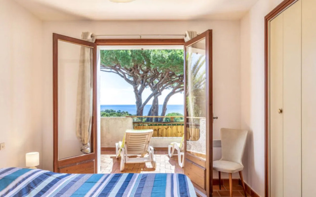 La Petite Afrique 28464