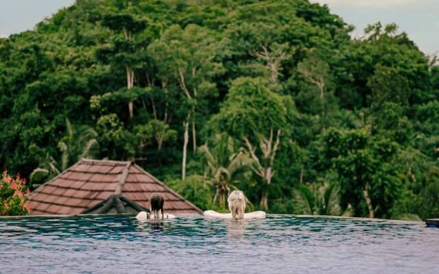 The Kleep Jungle Resort