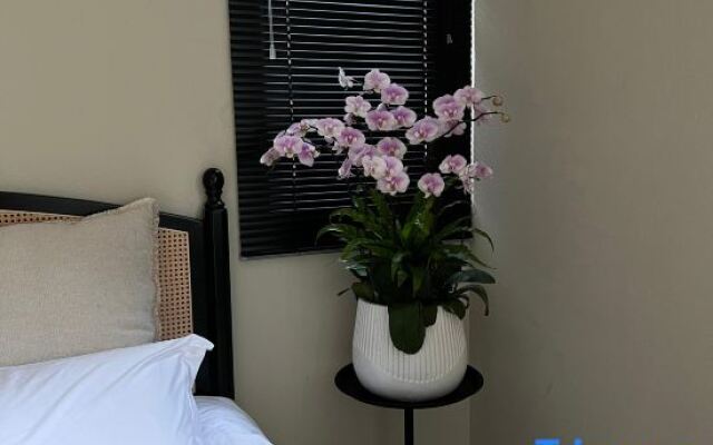 Shanerqi CafeTea B&B