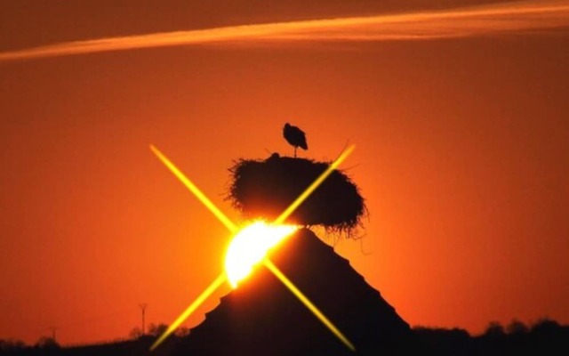 Hotel Restaurant Aux Bruyères